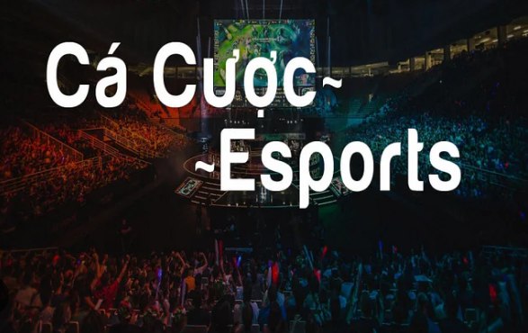 cach-ca-cuoc-e-sports-sin88