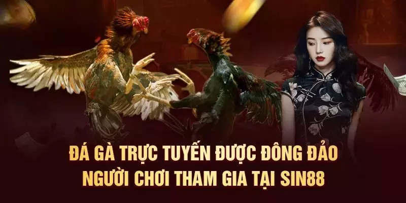 huong-dan-choi-da-ga-sin88